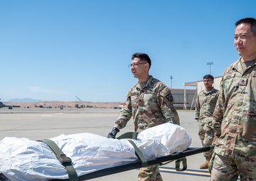 Army Reserve and Air Force Join Forces for Large-Scale Medical Evacuation Exercise at Ultimate Caduceus 2025