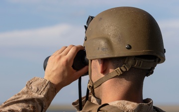2nd ANGLICO &amp; NATO Allies Conduct Close Air Support Training During Burmese Chase 25