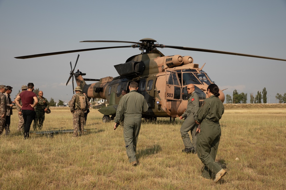 Multinational training