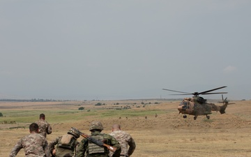 Allies and Partners in Arms: 22nd Multinational Battalion Builds Interoperability in Georgia