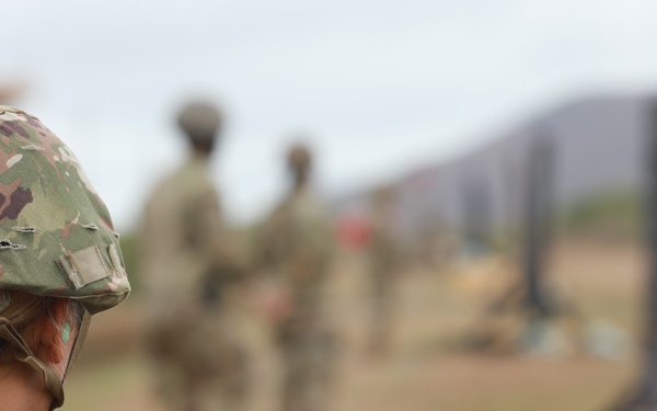 Caribbean Thunder 25 IWQ