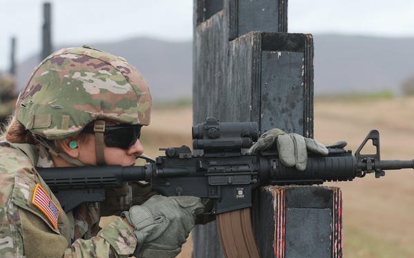 Caribbean Thunder 25 IWQ