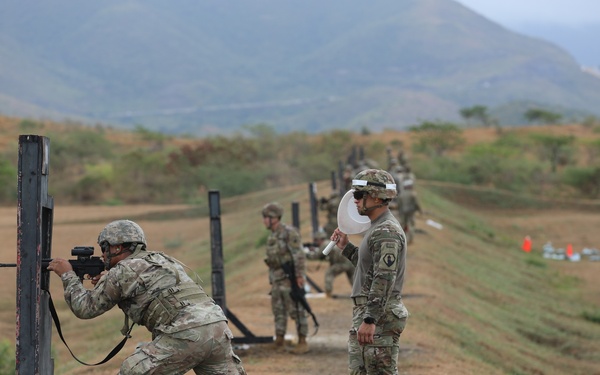 Caribbean Thunder 25 IWQ