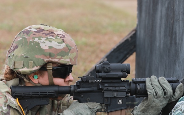 Caribbean Thunder 25 IWQ