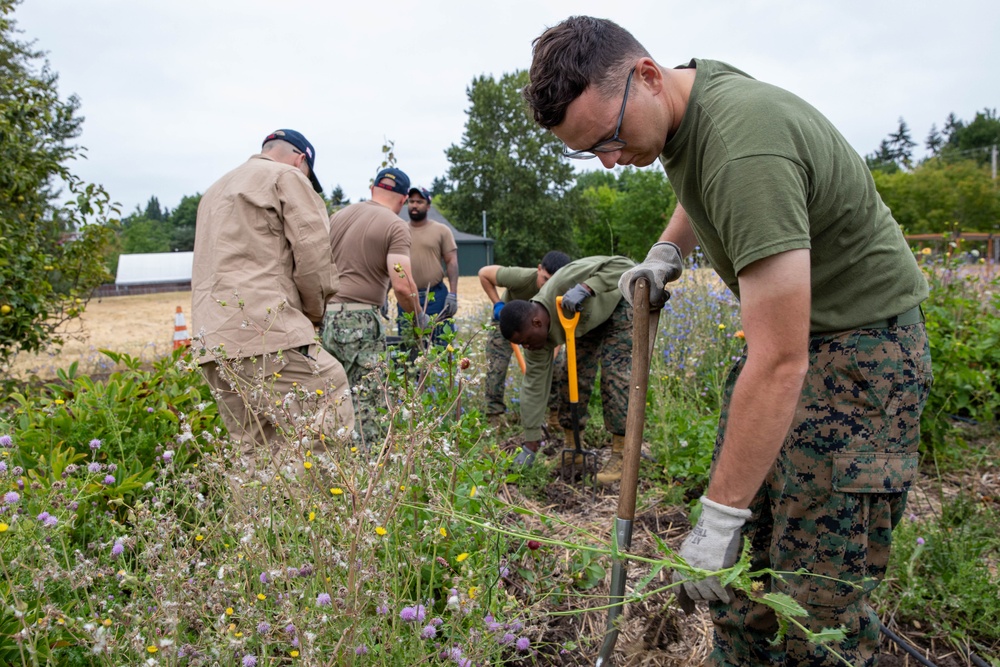 Sailors and Marines help out at University of Washington Farm during Seattle Fleet Week 2025