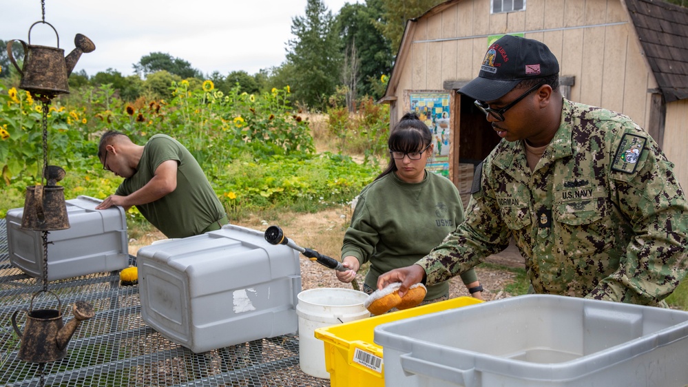 Sailors and Marines help out at University of Washington Farm during Seattle Fleet Week 2025