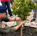 139th Connection Tree Dedication Ceremony