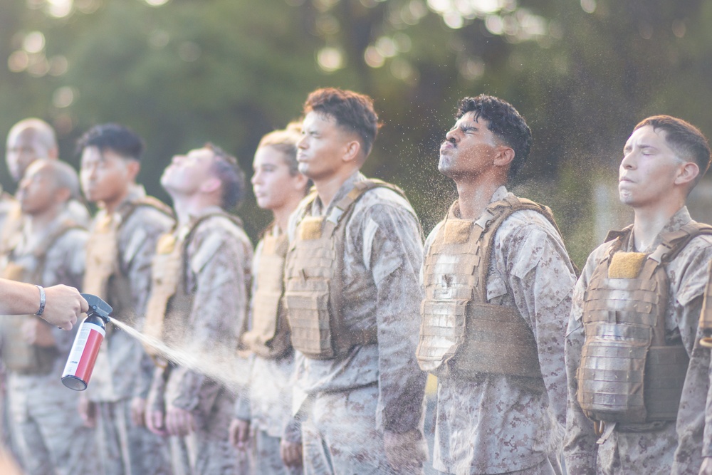 10th Marine Regiment Martial Arts Instructor Course Culmination