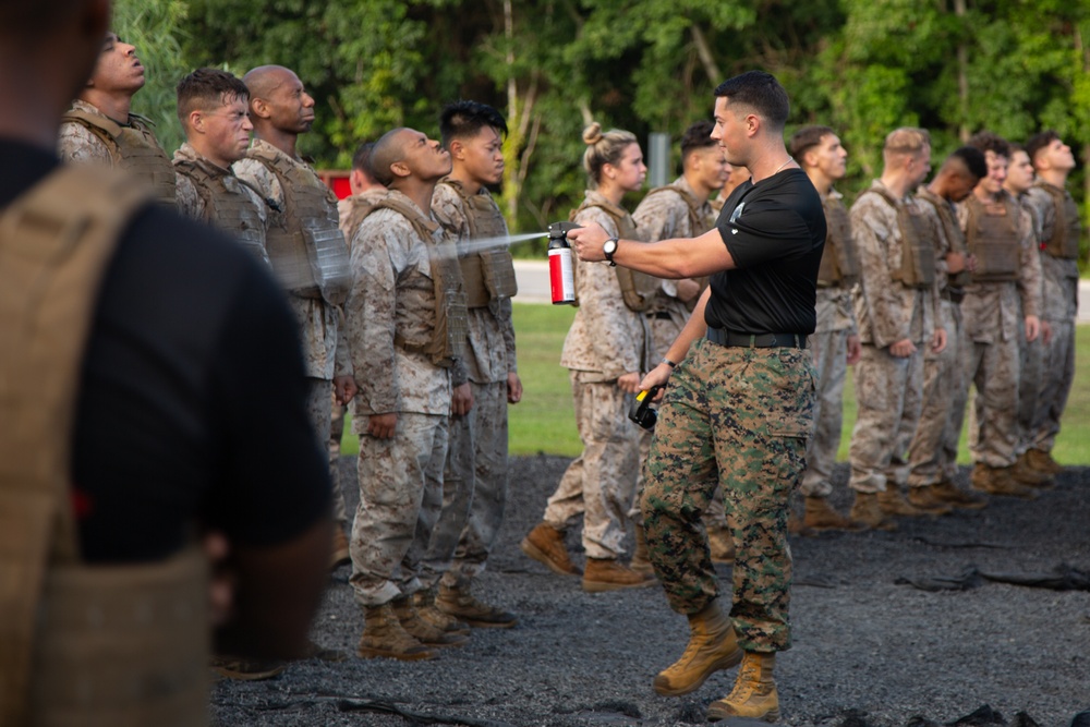 10th Marine Regiment Martial Arts Instructor Course Culmination
