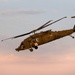 1st Armored Division Participates in 2025 Black Sea Air Show