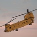 1st Armored Division Participates in 2025 Black Sea Air Show