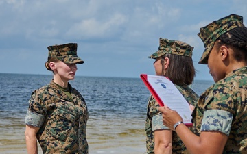 Climbing the Ranks: Chief Warrant Officers Lead the Way in Marine Corps Expertise