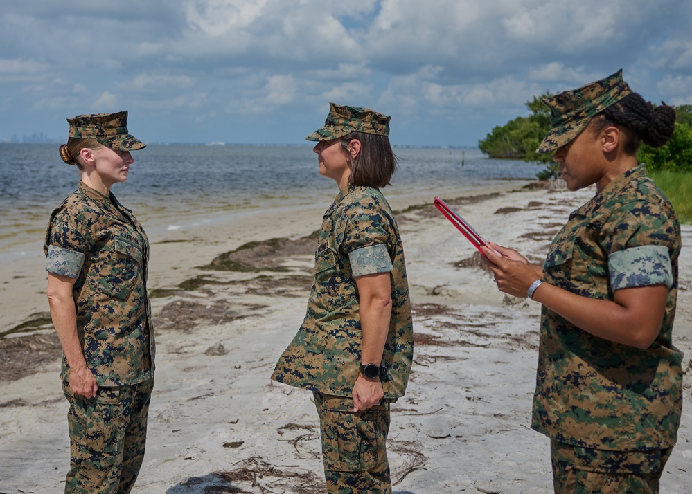 Climbing the Ranks: Chief Warrant Officers Lead the Way in Marine Corps Expertise