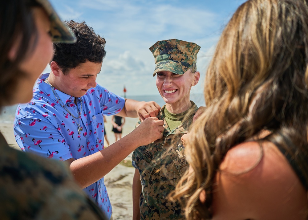 Climbing the Ranks: Chief Warrant Officers Lead the Way in Marine Corps Expertise