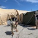 Army Reserve Soldiers Train with New AirBeam Tents