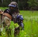 Minnesota Air National Guard Conducts Tactical Combat Casualty Care Training at Camp Ripley