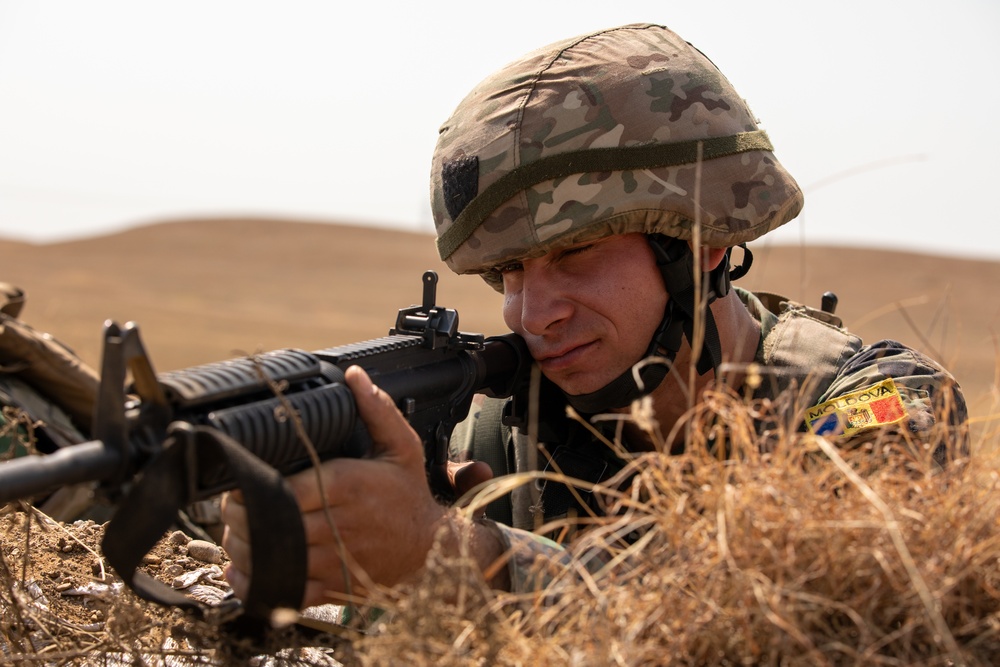 Scanning for Targets