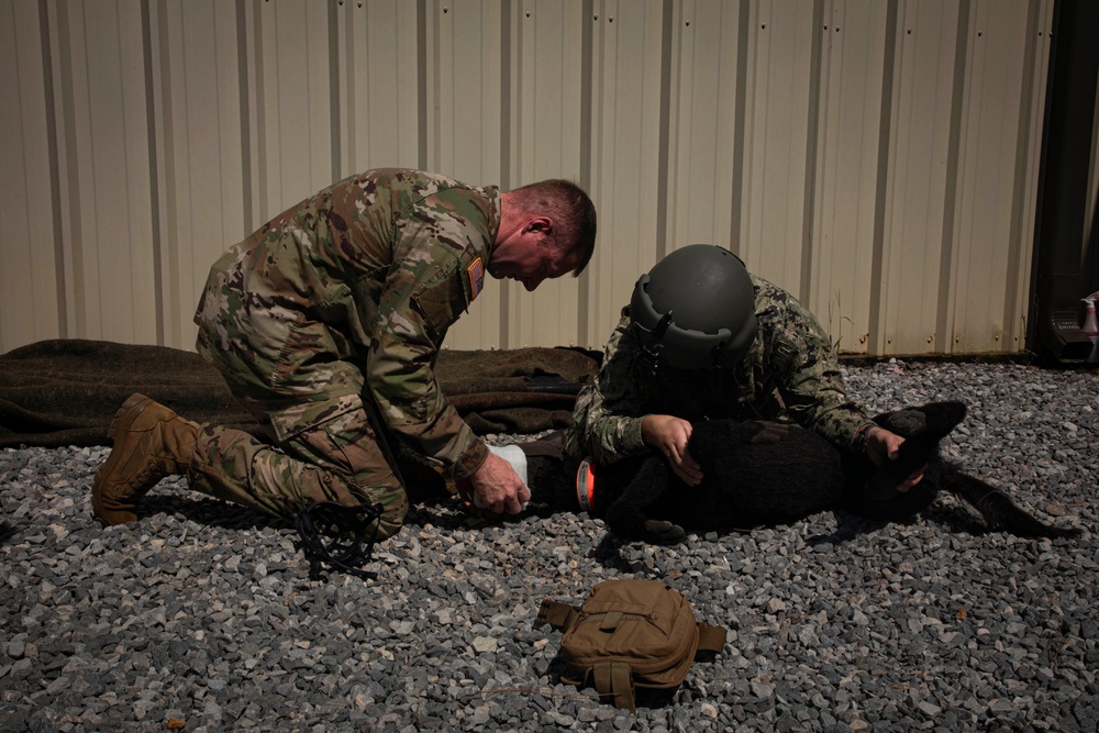 Mission: Lifesaver – Advancing Critical Care: The Future of Battlefield Medicine