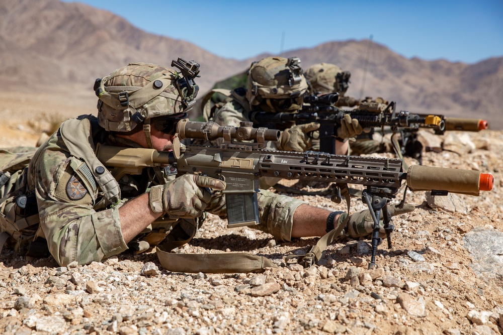Alabama Army National Guard defend battle positions at NTC