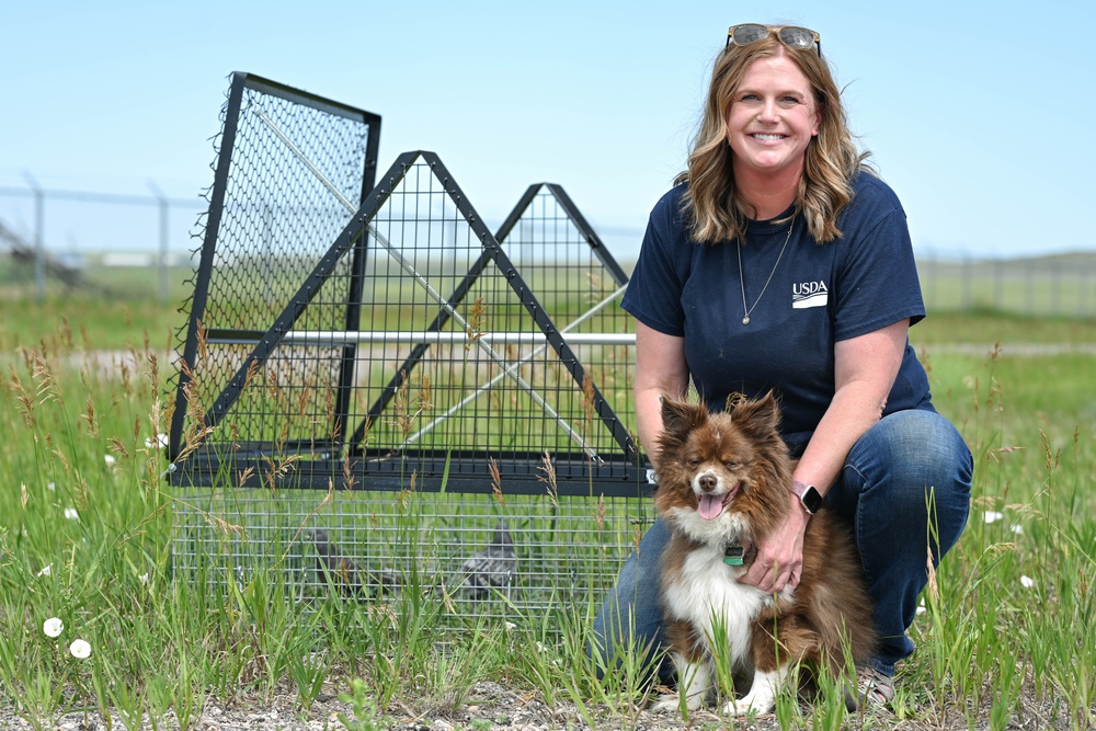 Ellsworth Air Force Base Raider of the Week Ellsworth Air Force Base Raider of the Week