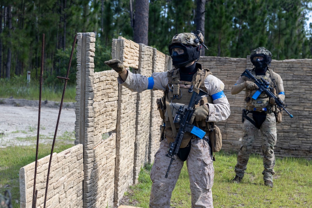 2nd ANGLICO &amp; NATO Allies Conduct Force-on-Force Urban Operations Simulation During Exercise Burmese Chase 25