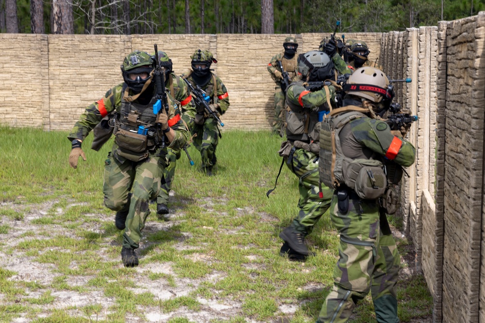 2nd ANGLICO &amp; NATO Allies Conduct Force-on-Force Urban Operations Simulation During Exercise Burmese Chase 25