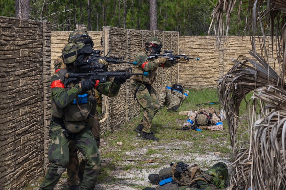 2nd ANGLICO &amp; NATO Allies Conduct Force-on-Force Urban Operations Simulation During Exercise Burmese Chase 25