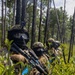 2nd ANGLICO &amp; NATO Allies Conduct Force-on-Force Urban Operations Simulation During Exercise Burmese Chase 25