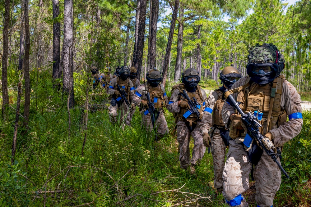 2nd ANGLICO &amp; NATO Allies Conduct Force-on-Force Urban Operations Simulation During Exercise Burmese Chase 25