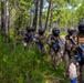 2nd ANGLICO &amp; NATO Allies Conduct Force-on-Force Urban Operations Simulation During Exercise Burmese Chase 25
