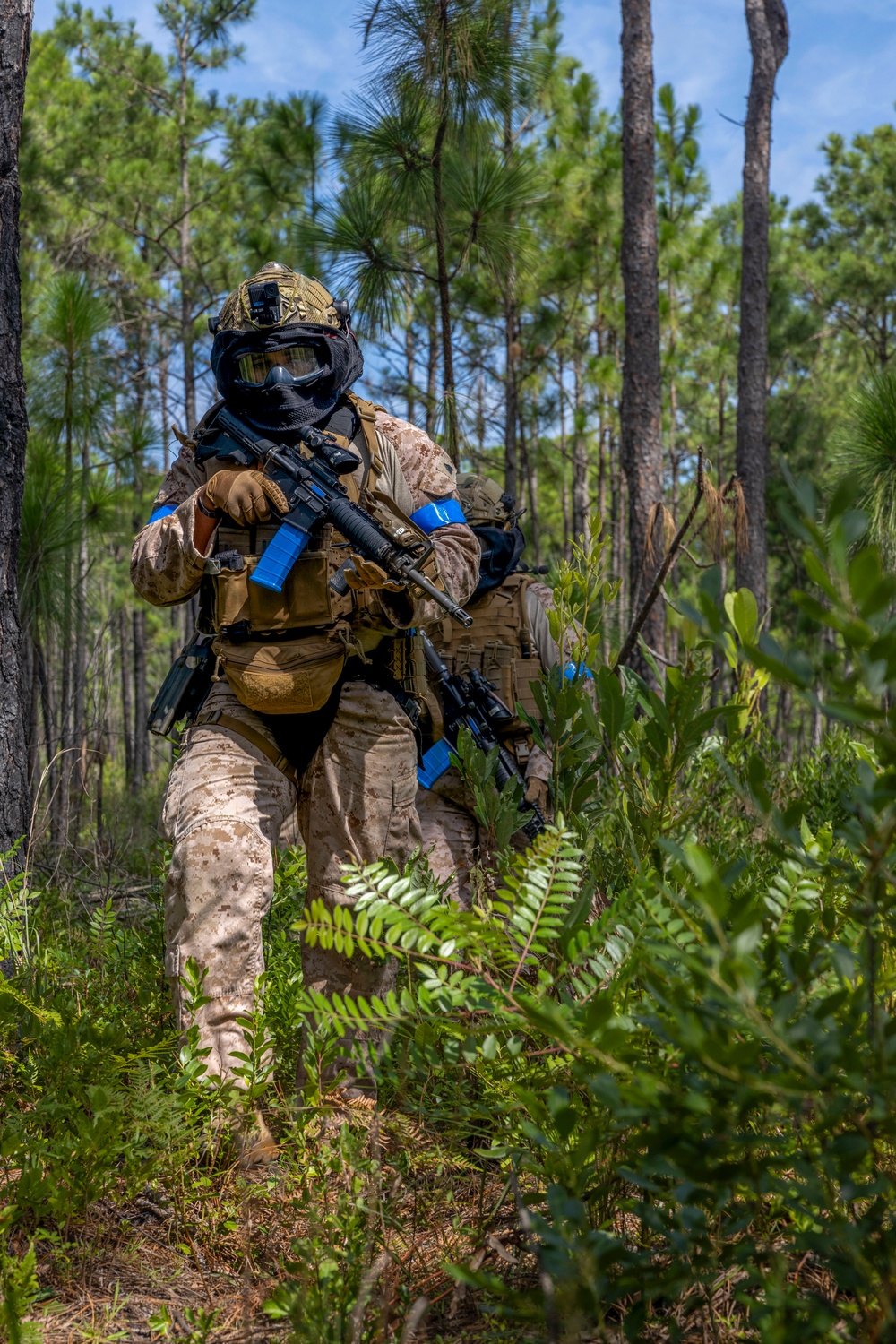 2nd ANGLICO &amp; NATO Allies Conduct Force-on-Force Urban Operations Simulation During Exercise Burmese Chase 25