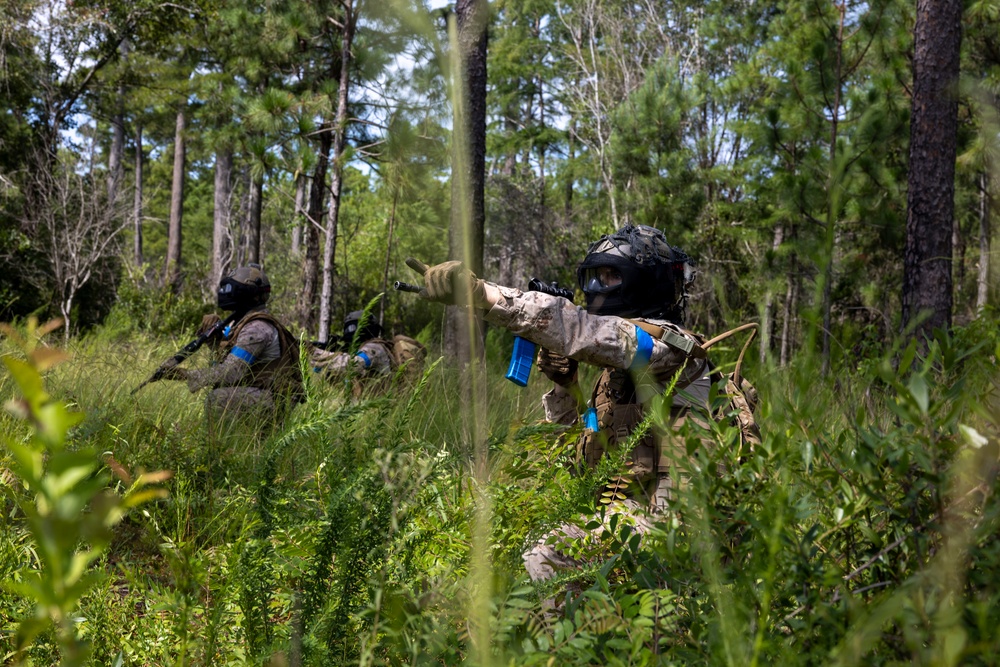 2nd ANGLICO &amp; NATO Allies Conduct Force-on-Force Urban Operations Simulation During Exercise Burmese Chase 25