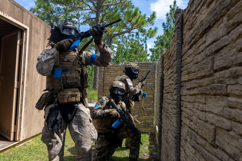 2nd ANGLICO &amp; NATO Allies Conduct Force-on-Force Urban Operations Simulation During Exercise Burmese Chase 25
