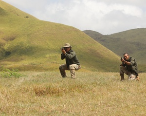 Pacific Pulse: July 31, 2025