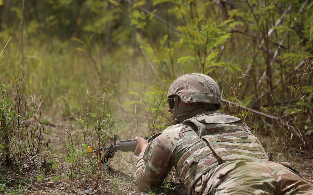 Caribbean Thunder 25 STX lanes
