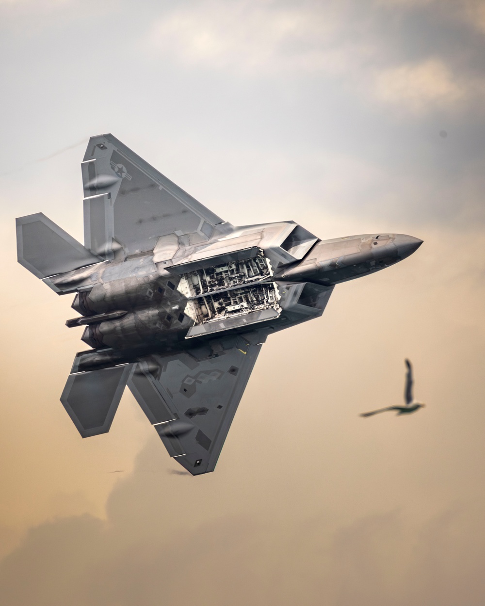 DVIDS - Images - Flight Lessons - F-22 Raptor Soars at Milwaukee Air ...