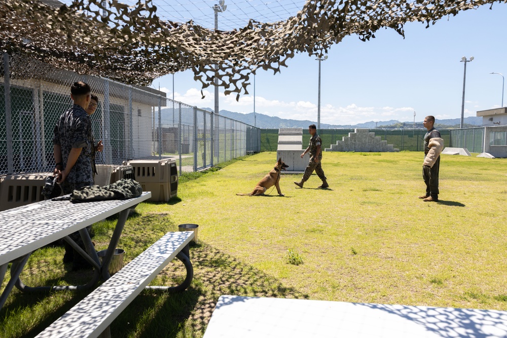JASDF from Hofukita visit Marines at MCAS Iwkauni