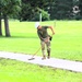 372nd Engineer Company Soldiers contribute to sidewalk troop project at Fort McCoy