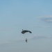 1st Armored Division Participates in the 2025 Black Sea Air Show