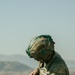 173rd Airborne Paratroopers Conduct Joint Airborne Operation With Turkish Forces During Agile Spirit 25