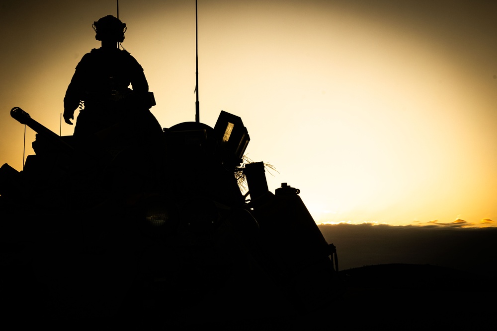 31st MEU | LAR conducts a forward observation post exercise