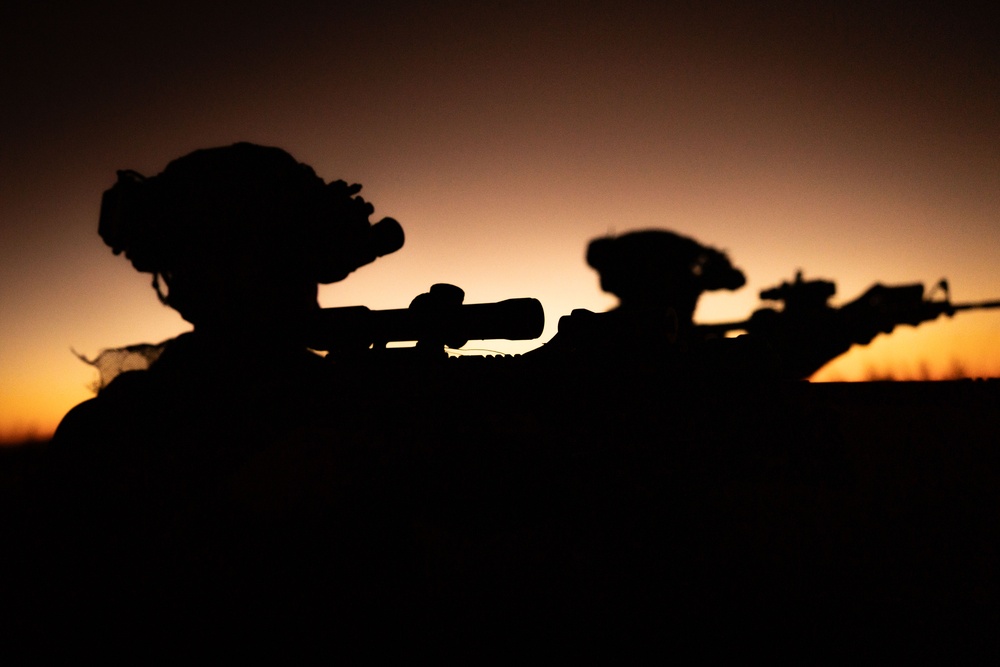 31st MEU | LAR conducts a forward observation post exercise