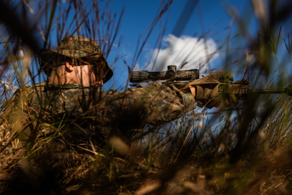 31st MEU | LAR conducts a forward observation post exercise