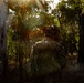 31st MEU | LAR conducts a forward observation post exercise