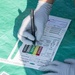 Team Andrews conducts field training exercise