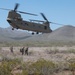 Exercise Desert Dragon