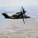 DEMONSTRATOR IN FLIGHT