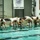 CEODD Prep Course