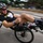 Team SOCOM wins 111 medals through adaptive sports at 2025 DoD Warrior Games