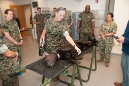 Brigadier General Maura Hennigan of 2nd Marine Logistics Group Visits Naval Medical Center Portsmouth